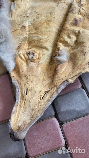 Шкура волка