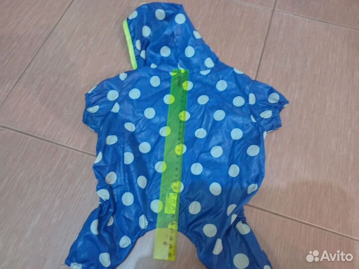 Одежда для собак