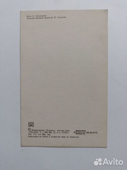 Открытка С Новым Годом 1974г