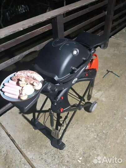 Газовый гриль weber q1200