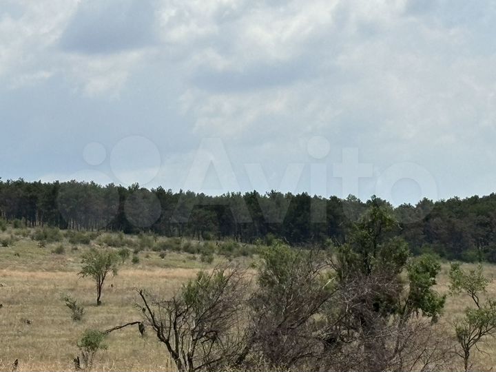 Участок 6 сот. (СНТ, ДНП)