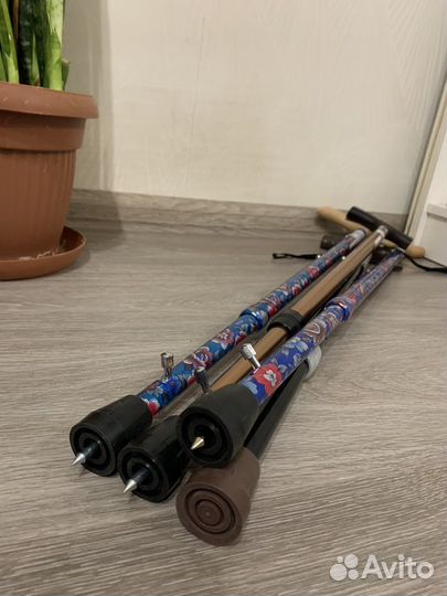 Новые трости