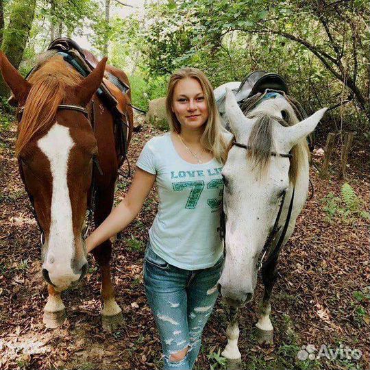 Конные прогулки