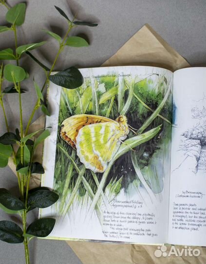 Книга скетчбук о природе Великобритании