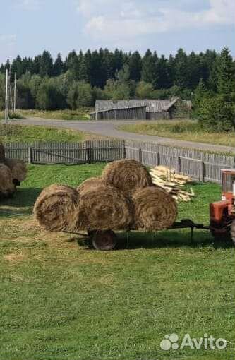 Продам сено в рулонах