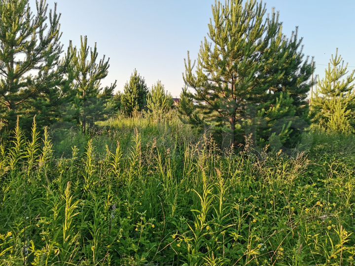 Участок 20 сот. (ИЖС)