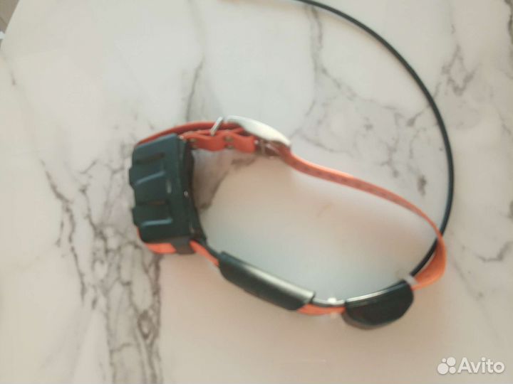 Garmin ошейник DC 50