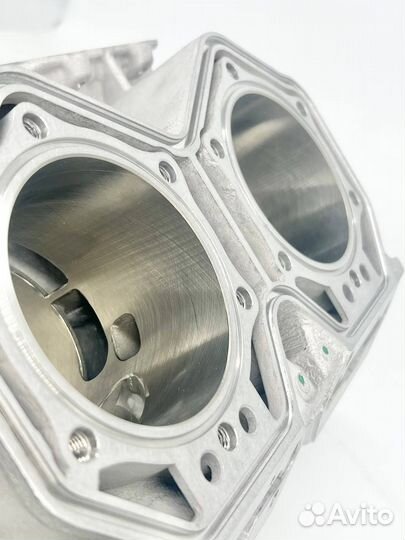 420413041 BRP Цилиндры снегохода SKI-DOO