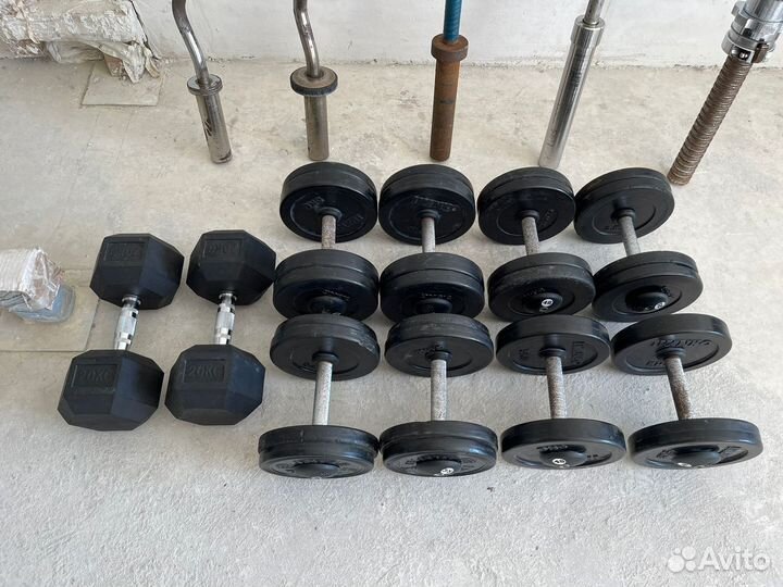 Грифы, гантели, блины