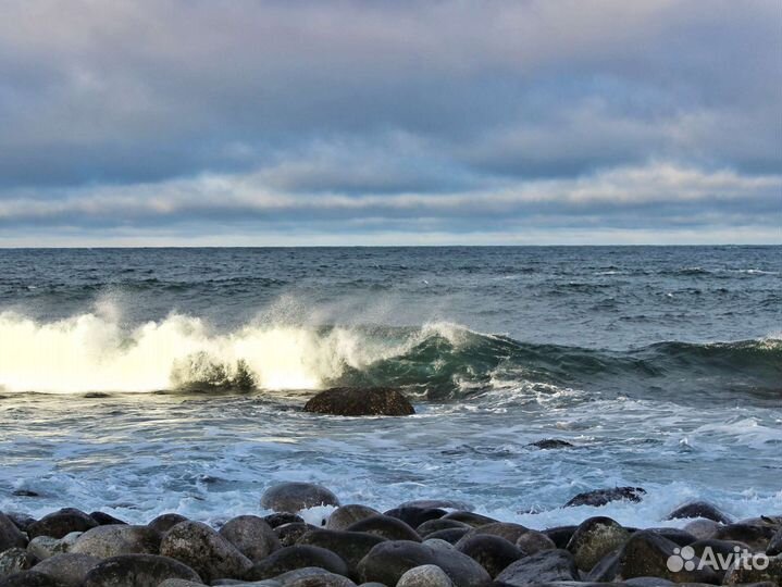 Трансфер-тур в Териберку