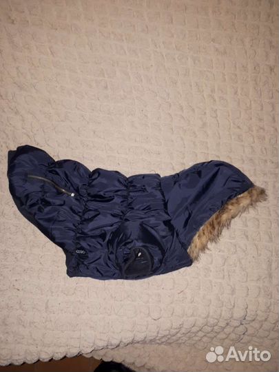 Полукмбинезончик на таксу