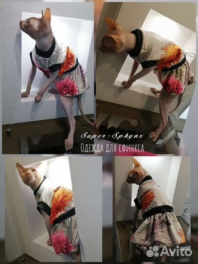 Одежда для сфинкса, кошек и собак на заказ