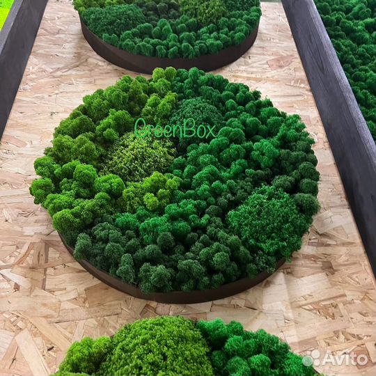 Панно круглое из мха