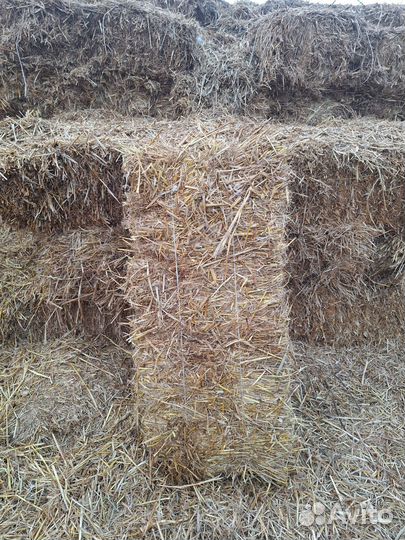 Солома ячменная в тюках