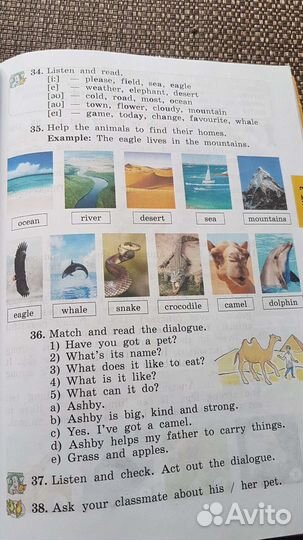 Учебник english 4 класс