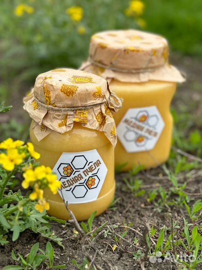 Мед донниковый