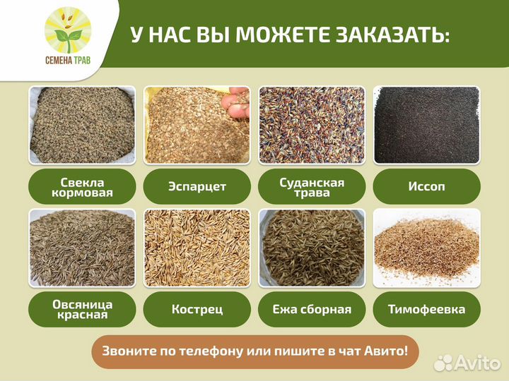 Семена Райграс пастбищный