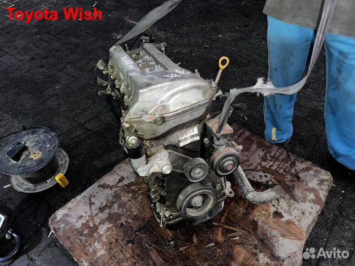 Двигатель 1ZZ-FE Toyota Wish