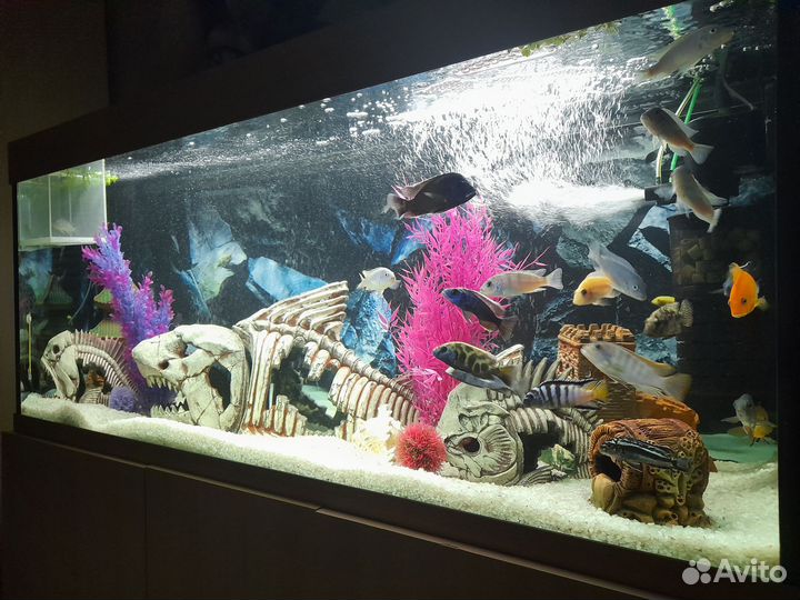 Аквариум с тумбой