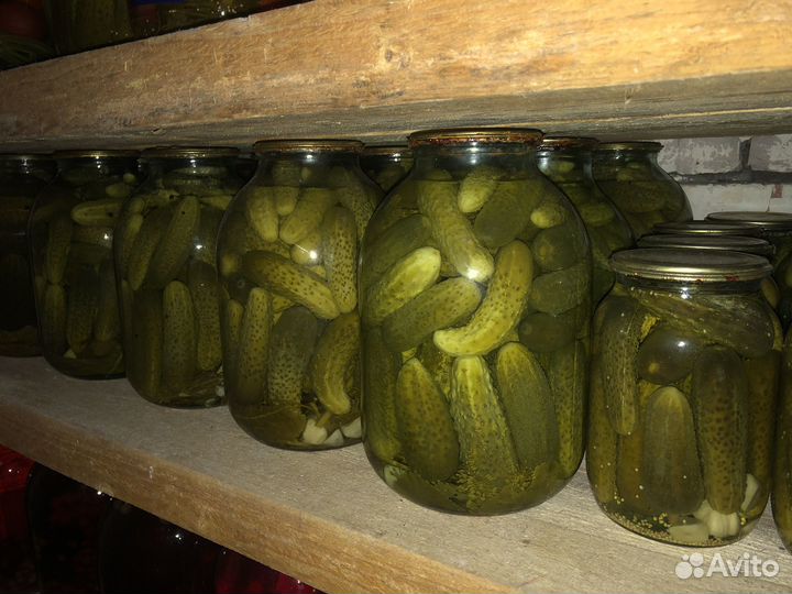 Огурцы маринованные домашние