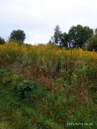 Участок 7 сот. (СНТ, ДНП)