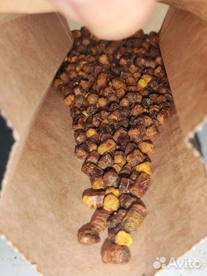 Мёд в сотах 2кг + перга 100гр