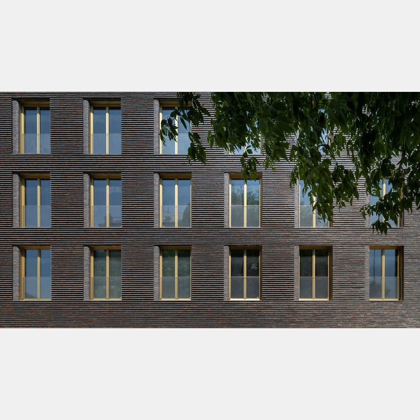 2-к. квартира, 55,5 м², 7/8 эт.