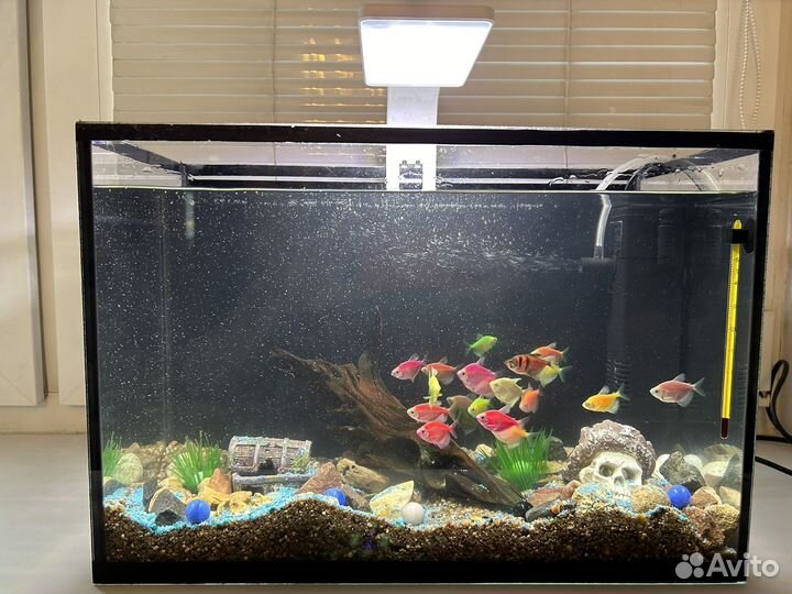 Аквариум