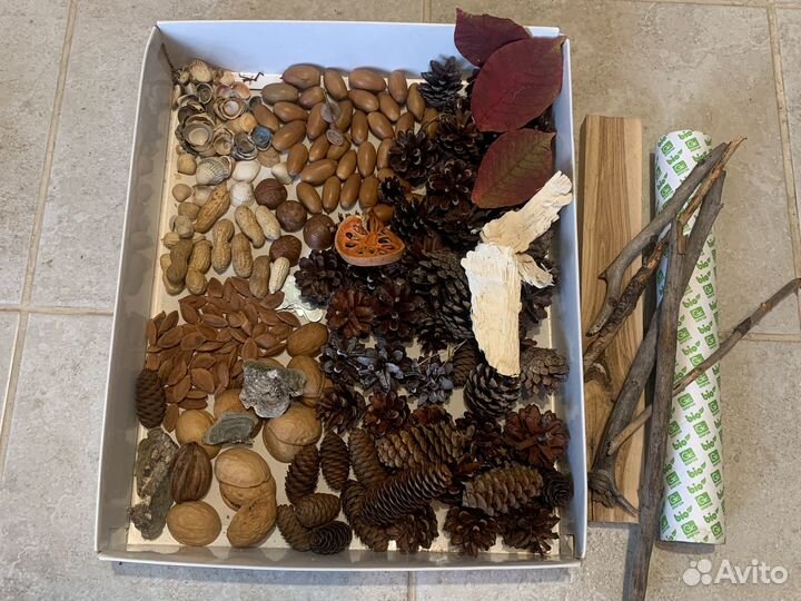 Набор бокс для декора поделок школа сад