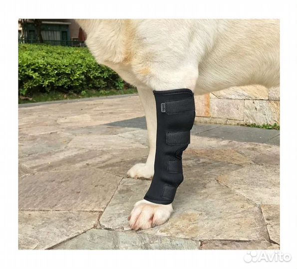 Бандаж на лапы для собаки