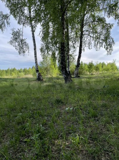 Участок 20 сот. (ИЖС)
