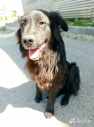 Мальчик 1 год