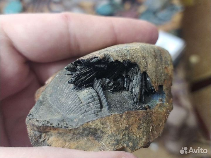 Керченит редкий минерал