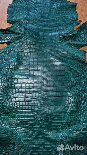 Шкура Крокодила