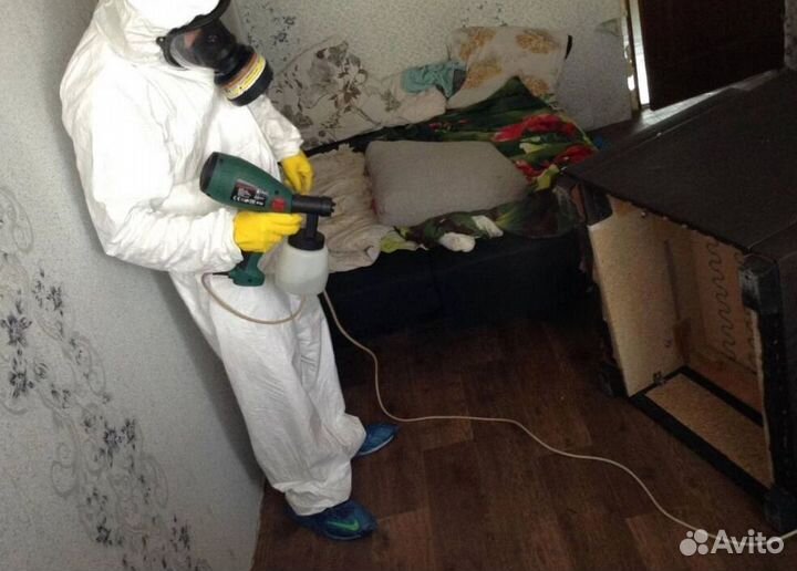 Средство для Уничтожения клопов травли тараканов, блох