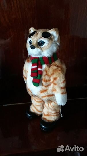 Поющий котик