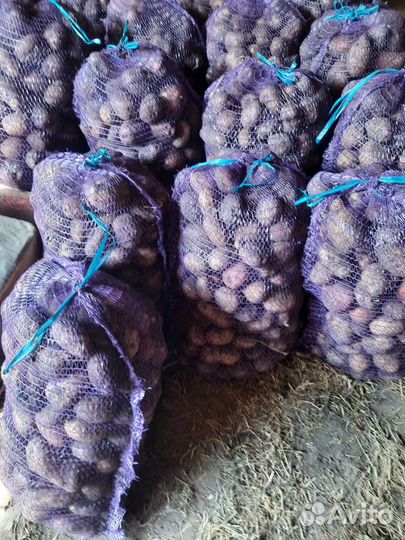 Продам картофель
