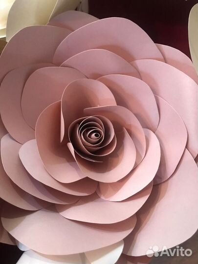 Бумажные цветы