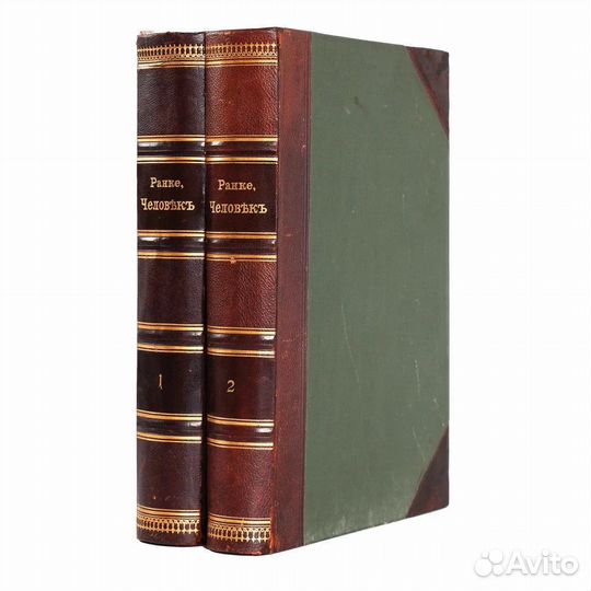 Антиквариат Книга в 2 томах Человек 1901 года