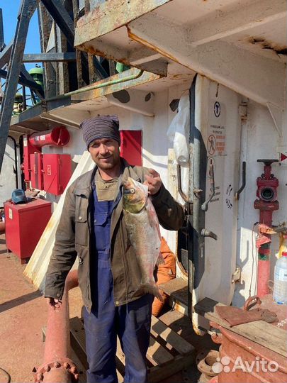 Водитель кат. В