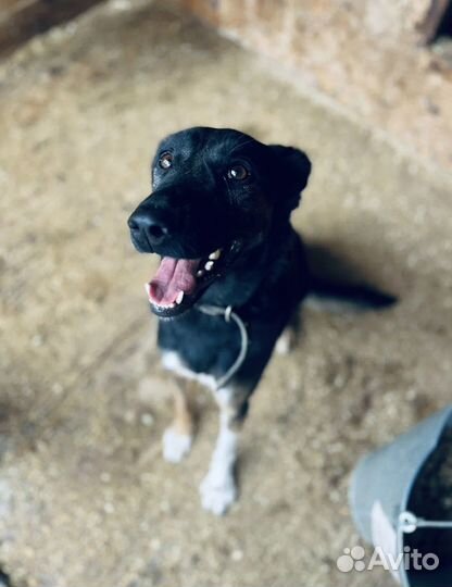 Гера опять в приюте