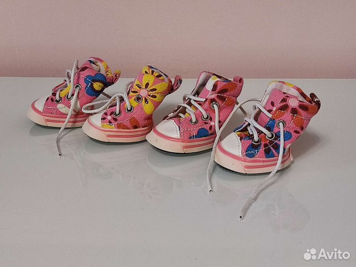 Обувь кеды для собаки