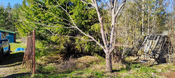 Участок 10 сот. (СНТ, ДНП)