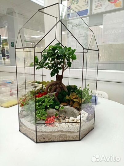 Флорариум