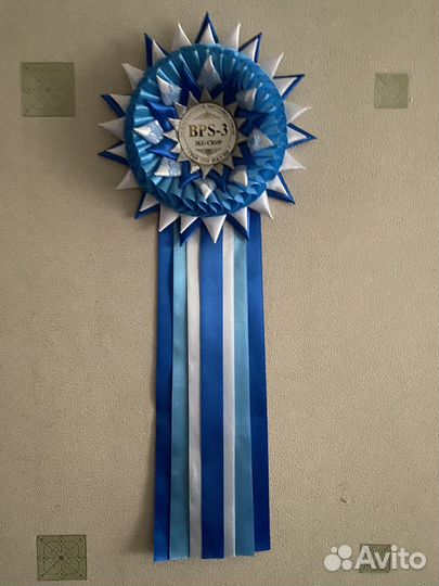 Вязка Французский бульдог