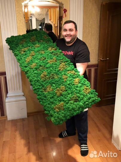 Мох Стабилизированный ягель, кочка, пласт, панно