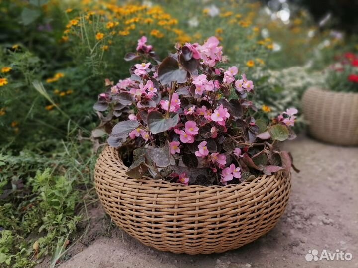 Кашпо для цветов