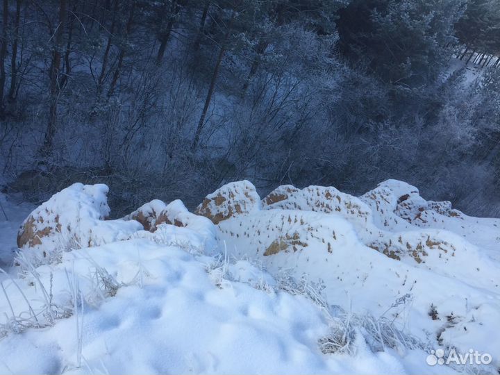 Поход по тропе Карпинского в г. Каменске-Уральском