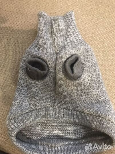 Одежда для собак