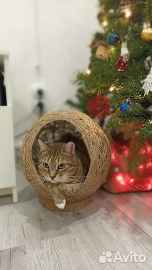 Домик- кокон